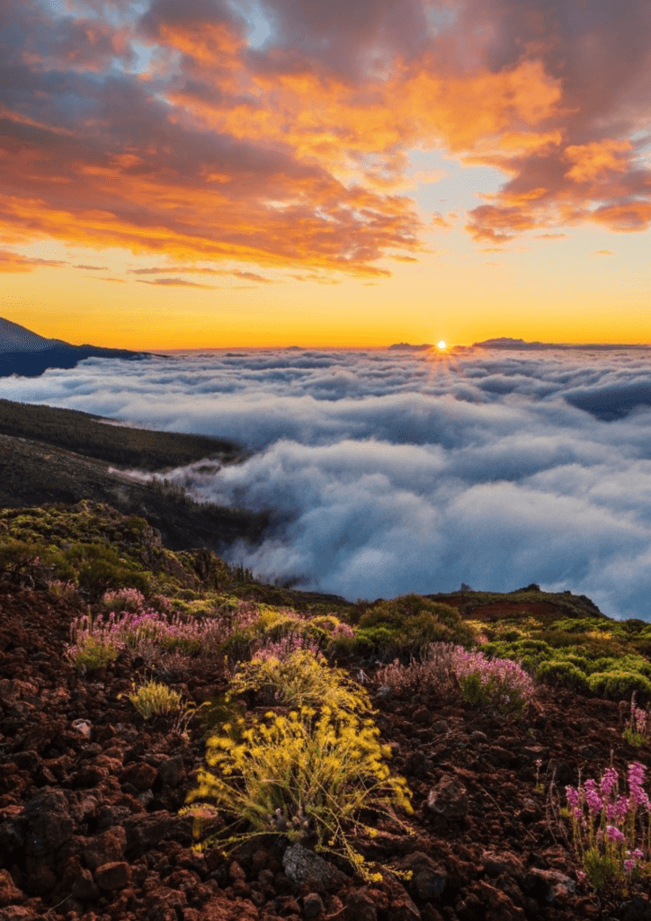 Tour 1 – Descubre la magia del Cielo desde el Teide – Excursión Nocturna c/transporte incluido.