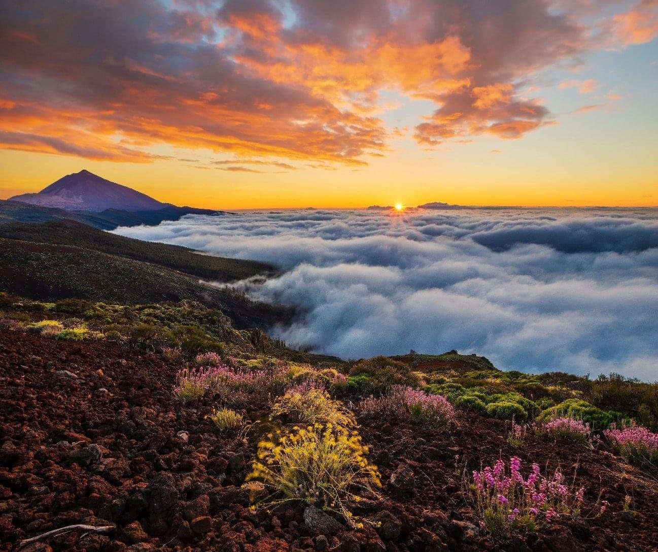 Tour 1 - Descubre la magia del Cielo desde el Teide - Excursión Nocturna c/transporte incluido.